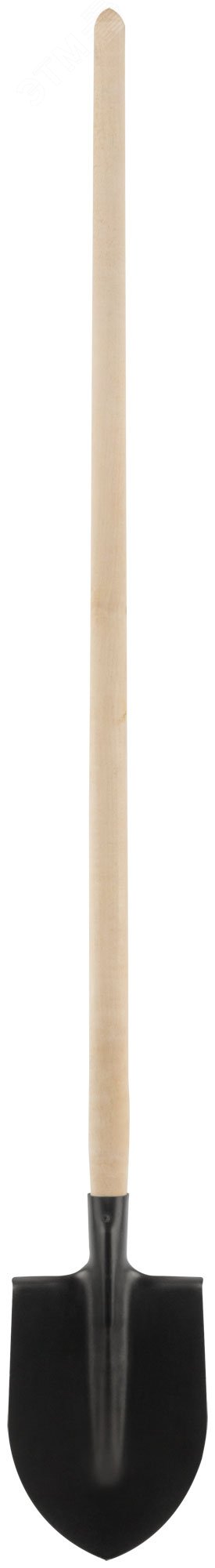 Лопата штыковая, с деревянным черенком 190х350х1420 мм 77213 КУРС РОС - превью
