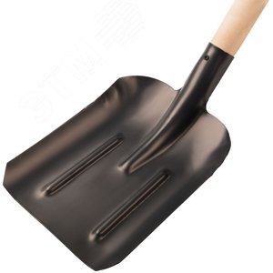 Лопата совковая плоская, с деревянным черенком 225х270х1430 мм - фото 3