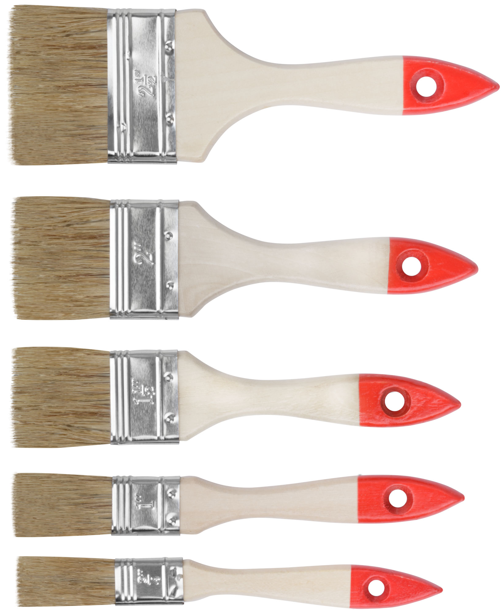 Набор кистей ''Оптима'' 5 шт (19, 25, 38, 50, 63 мм)