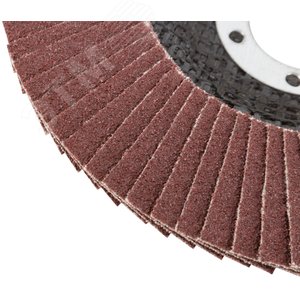 Круг лепестковый торцевой 125 мм P 100 - фото 4