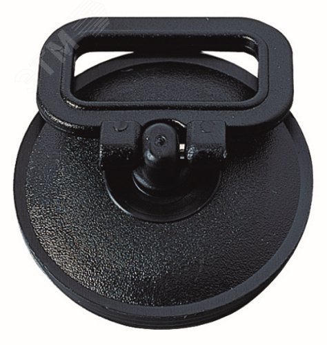 Изображение товара Пробка с ручкой D47 мм для ванны и мойки от WIRQUIN