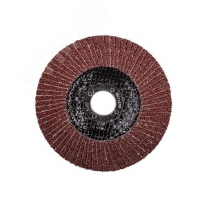 Круг лепестковый торцевой 125х22,2 мм, Р40 - фото 2