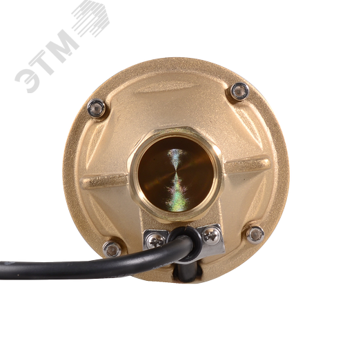 Скважинный насос СН-100 - фото 3