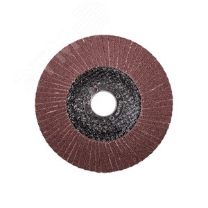 Круг лепестковый торцевой 125х22,2 мм, Р120 - фото 2