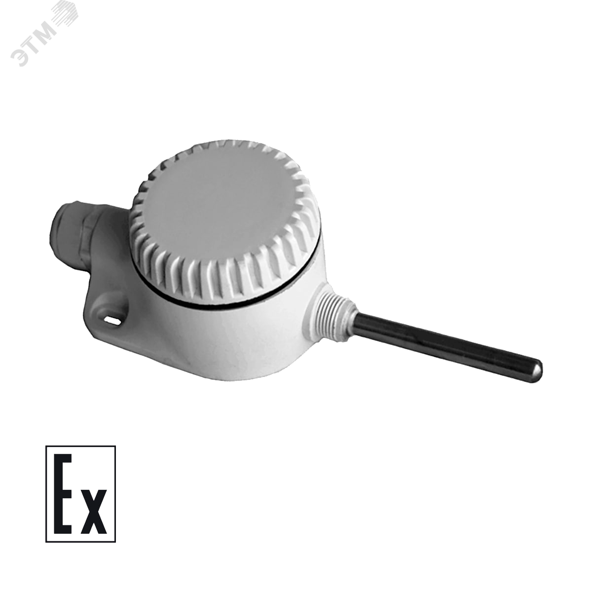 Изображение товара Термопреобразователь сопротивления ДТС125Л-РТ1000 для измерения температуры