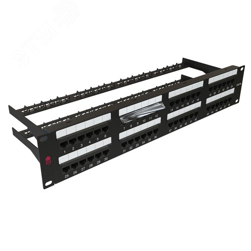 Изображение товара "Патч-панель 19"", 48 портов RJ-45, категория 5e, Dual IDC, с задним кабельным организатором, цвет черный" (шт)