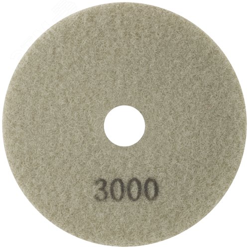 Алмазный гибкий шлифовальный круг 100х3мм Р3000 - фото 1