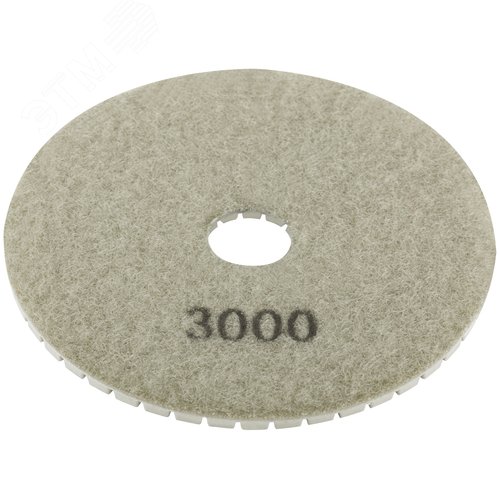 Алмазный гибкий шлифовальный круг 100х3мм Р3000 - фото 2