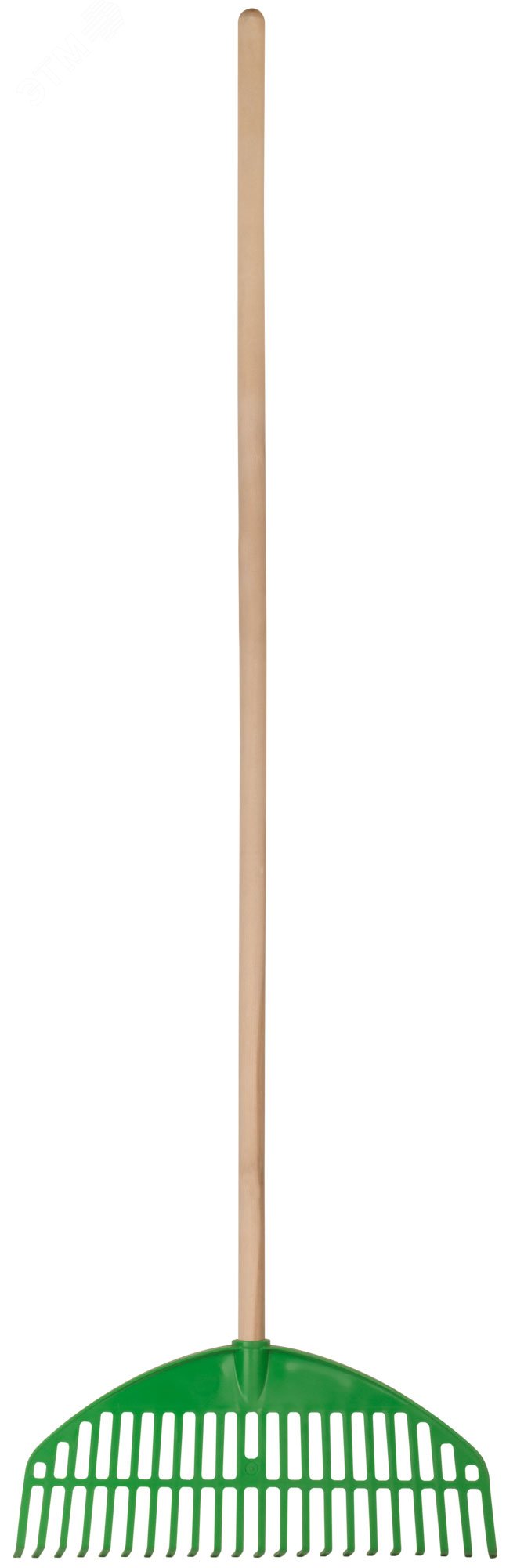 Изображение товара Веерные пластиковые грабли Оазис с деревянным черенком 22 зуба 440 мм