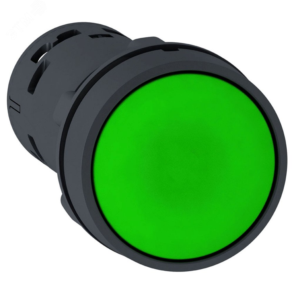 Кнопка 22мм зеленая с возвратом 2НО XB7NA33 Schneider Electric - превью 3