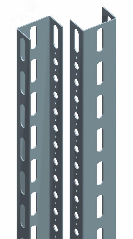 Изображение товара Вертикальные монтажные рейки 2000 мм для шкафов Spacial и системы Prisma Plus