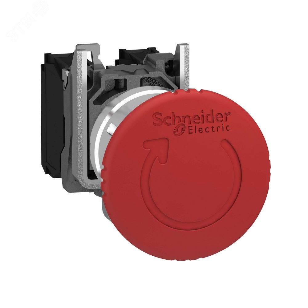 Кнопка красная грибовидная XB4BS8444 Schneider Electric - превью 5