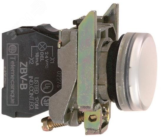 Лампа сигнальная 22мм 24в светодиодная белая XB4BVB1 Schneider Electric - превью 3
