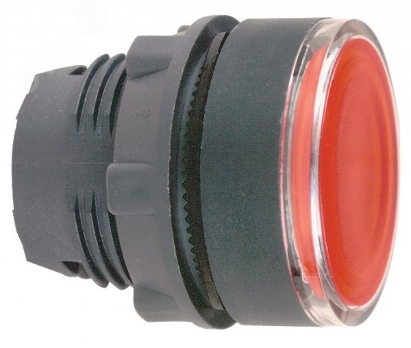Кнопка с подсветкой ZB5AW34 Schneider Electric - превью 2