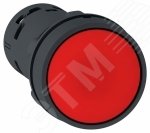Кнопка красная возвратная 22мм 1нз XB7NA42 Schneider Electric - превью 5
