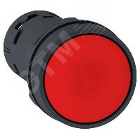 Кнопка красная возвратная 22мм но+нз XB7NA45 Schneider Electric - превью 6