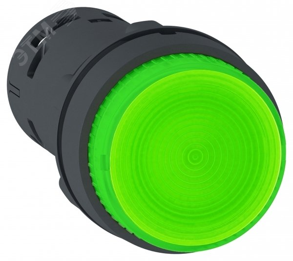 Кнопка 22мм 24В зеленая с подсветкой XB7NW33B1 Schneider Electric - превью