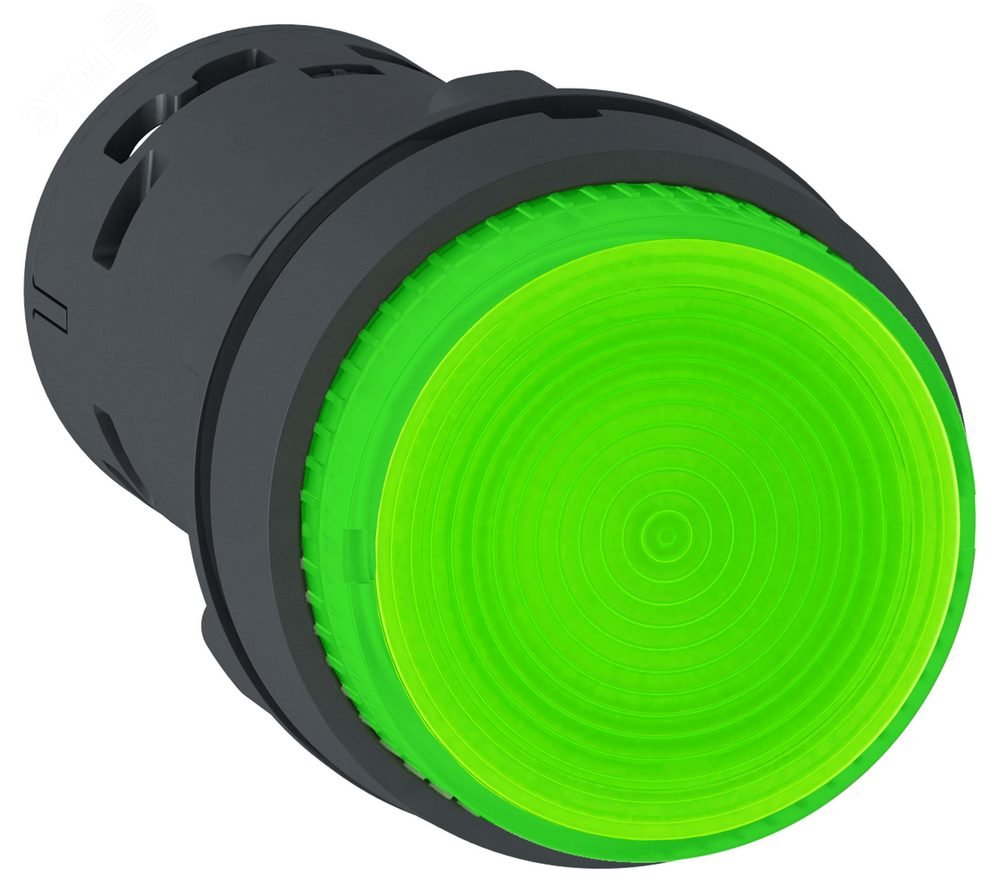 Кнопка 22мм 24В зеленая с подсветкой XB7NW33B1 Schneider Electric - превью 3