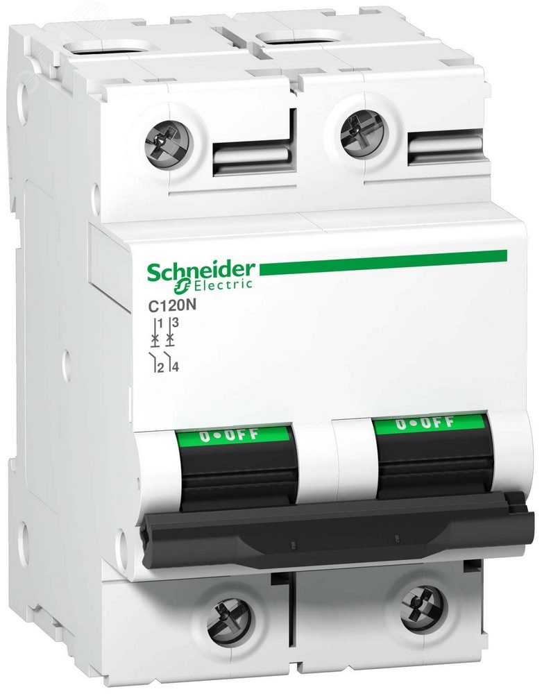 Выключатель автоматический двухполюсный 100A D C120N A9N18384 Schneider Electric - превью 5