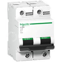 Выключатель автоматический двухполюсный 100A D C120N A9N18384 Schneider Electric - превью 8