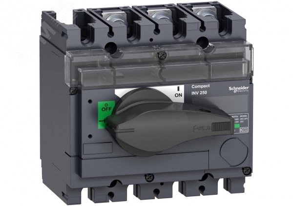 Выключатель-разъединитель INV250 3п 31166 Schneider Electric - превью 4