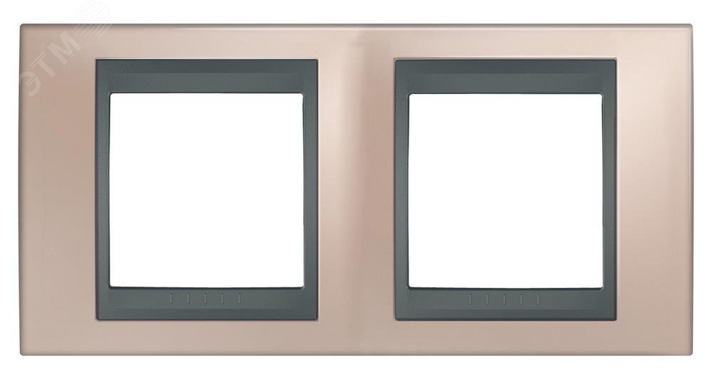 UNICAtop Рамка 2 поста металл (оникс/графит) MGU66.004.296 Schneider Electric - превью 4