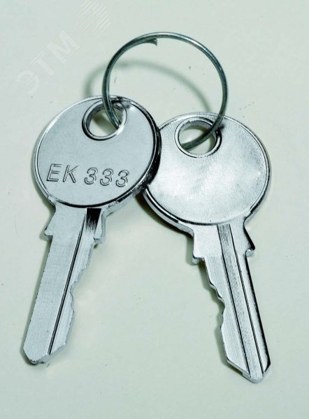 Ключ для замка с двойной бороздкой 5мм NSYLDB5 Schneider Electric - превью 2