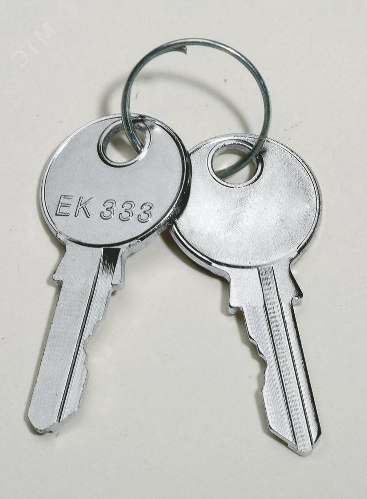 Ключ для замка с двойной бороздкой 5мм NSYLDB5 Schneider Electric - превью 3