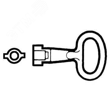Ключ для замка с двойной бороздкой 5мм NSYLDB5 Schneider Electric - превью 6