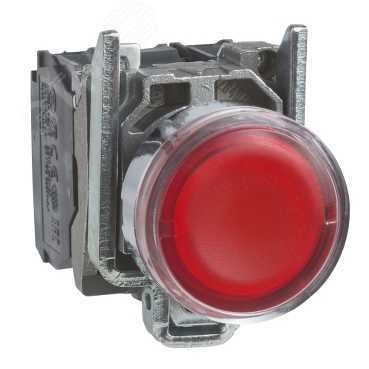 Кнопка красная возвратная 22мм с подсветкой 230-240В 1но+1нз XB4BW34M5 Schneider Electric - превью 8