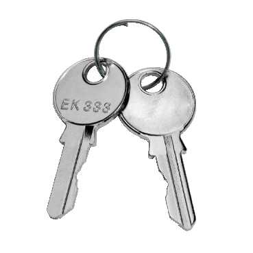 Ключ для замка с двойной бороздкой 5мм NSYLDB5 Schneider Electric - превью 7