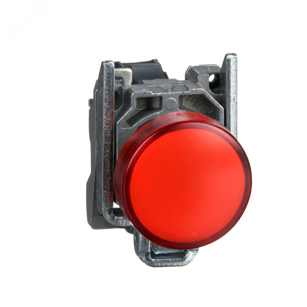 Кнопка красная возвратная 22мм без фиксации 1нз XB4BA42 Schneider Electric - превью 4