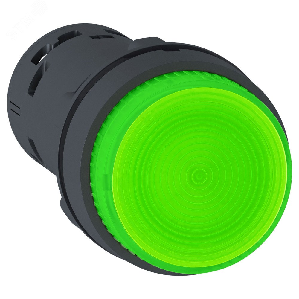 Кнопка 22мм 24В зеленая с подсветкой XB7NW33B1 Schneider Electric - превью 2