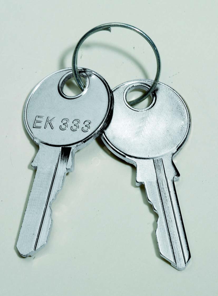 Ключ для замка с двойной бороздкой 5мм NSYLDB5 Schneider Electric - превью