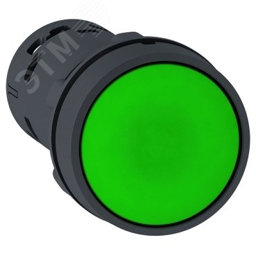 Кнопка 22мм зеленая с возвратом 2НО XB7NA33 Schneider Electric - превью
