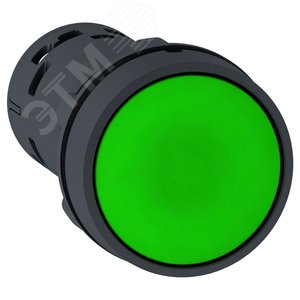 Кнопка 22мм зеленая с возвратом 2НО XB7NA33 Schneider Electric - 3