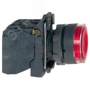 Кнопка красная с подсветкой 1но/1нз XB5AW34B5 Schneider Electric - 4