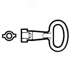 Ключ для замка с двойной бороздкой 5мм NSYLDB5 Schneider Electric - 6