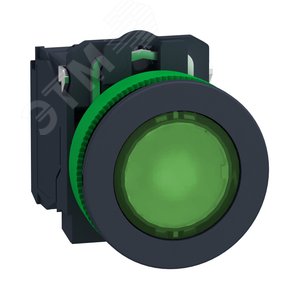 Кнопка 22мм, 24В, зеленая, с подсветкой, заподлицо, пластик XB5FW33B5 Schneider Electric - 2