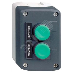 Пост кнопочный на 2 кнопки с возвратом | Интернет-магазин ЭТМ iPRO