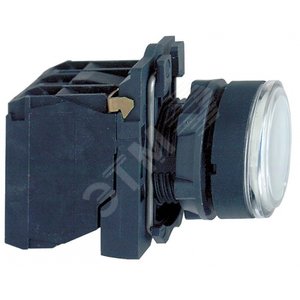 Изображение товара Кнопка с подсветкой 1но/1нз (шт)