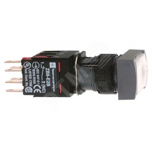 Изображение товара Кнопка XB6DW1B5B (шт)