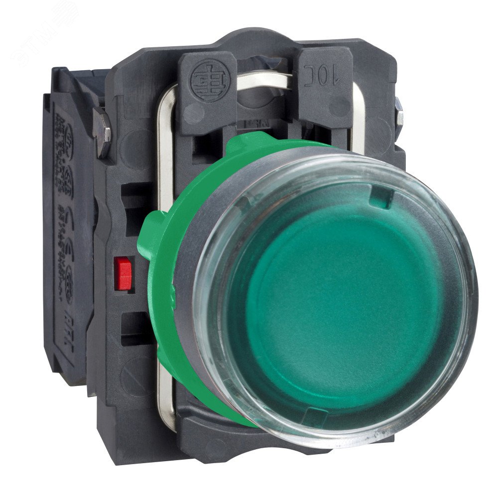 Кнопка зеленая 22мм с подсветкой 230-240В 1но+1нз XB5AW33M5 Schneider Electric - превью 3