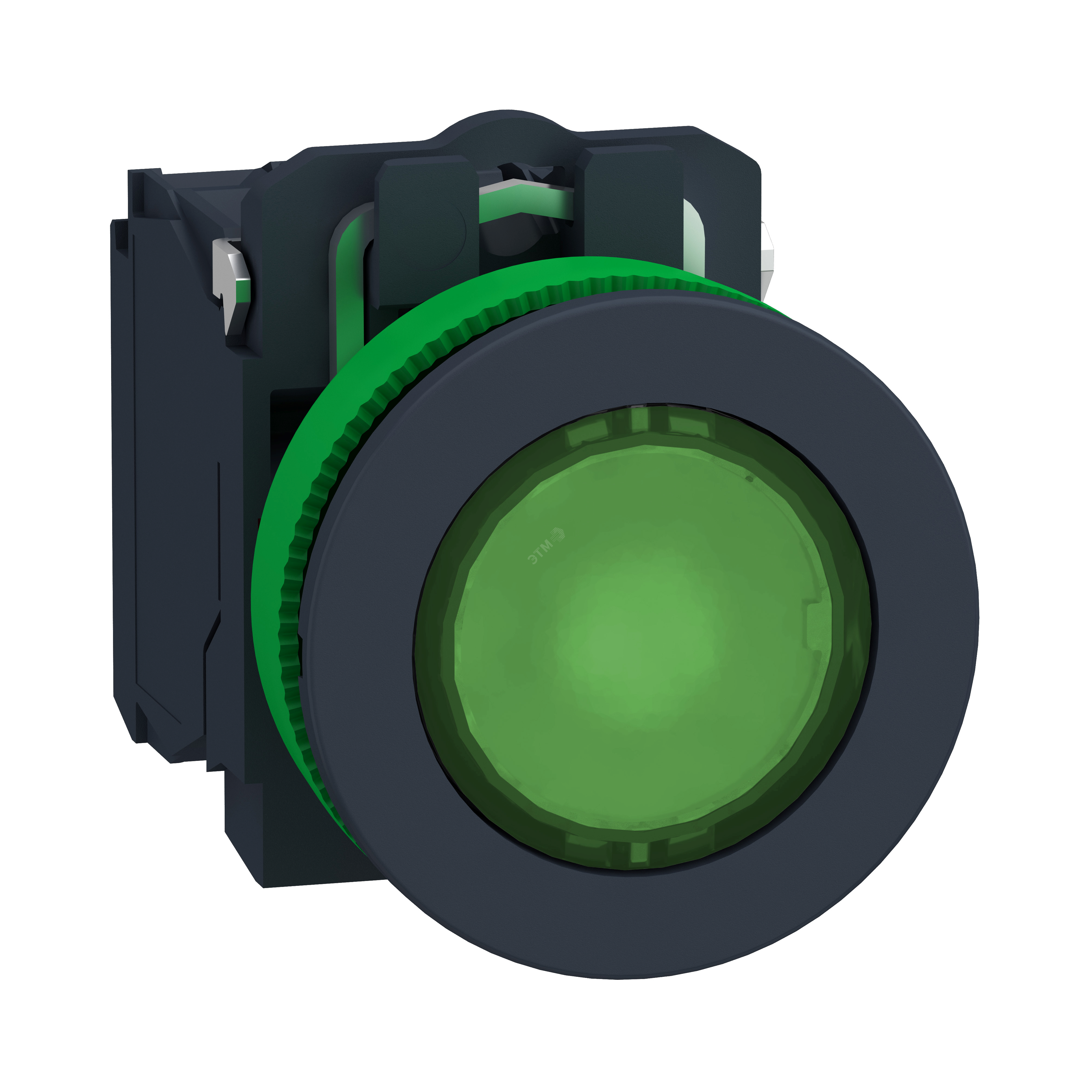 Кнопка 22мм, 24В, зеленая, с подсветкой, заподлицо, пластик XB5FW33B5 Schneider Electric - превью
