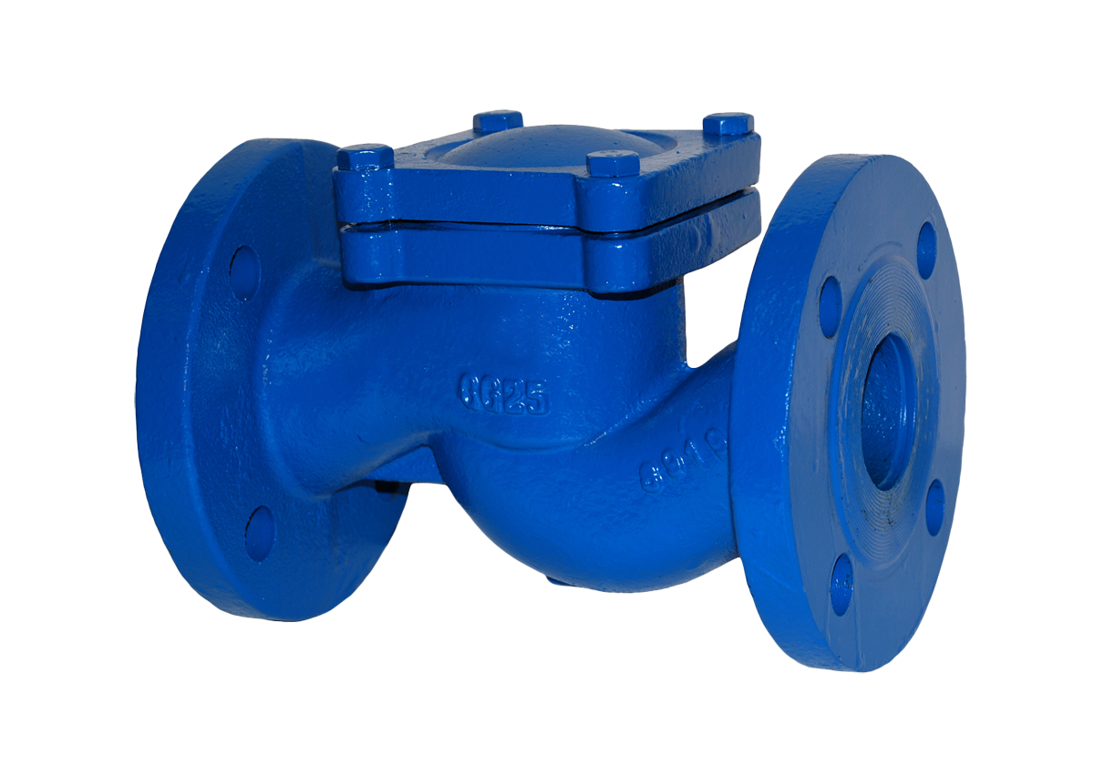 Обратный клапан RD16-025 DN 25 PN 16 Тмакс.град 300 ф/ф чугун/нерж