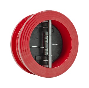 клапан обратный поворотный cv-16 dn 65 pn 16 tмакс=110с, запорный орган-сталь нержавеющая, корпус-высокопрочный чугун (пожарный)