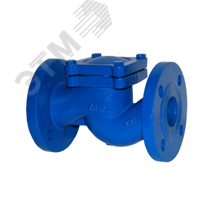 Изображение товара Обратный клапан RD16-050 DN 50 PN 16 Тмакс.град 300 ф/ф чугун/нерж (шт)