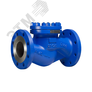 Изображение товара Обратный клапан RD50-025 DN 25 PN 40 Тмакс.град 400 ф/ф сталь/нерж (шт)