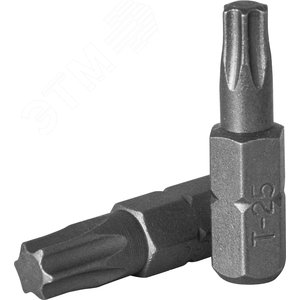 Изображение товара Вставка-бита 1/4''DR TORX®, T40, 25 мм (шт)