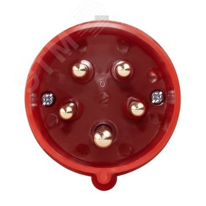 Вилка 025-32А-6h-380AC-3P+PE+N-IP44 - фото 2